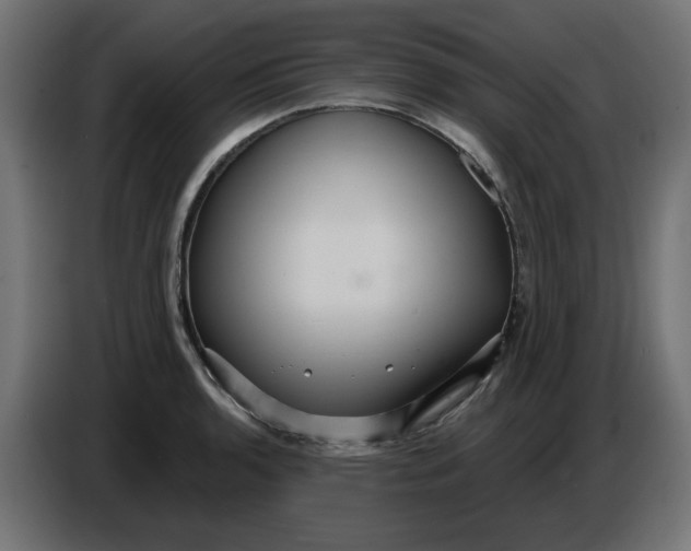 X0000086731136200705041342