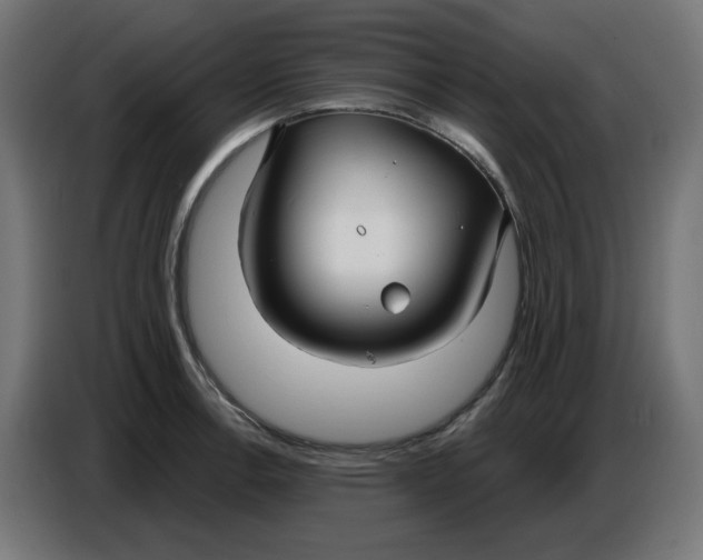 X0000086731138200705041342