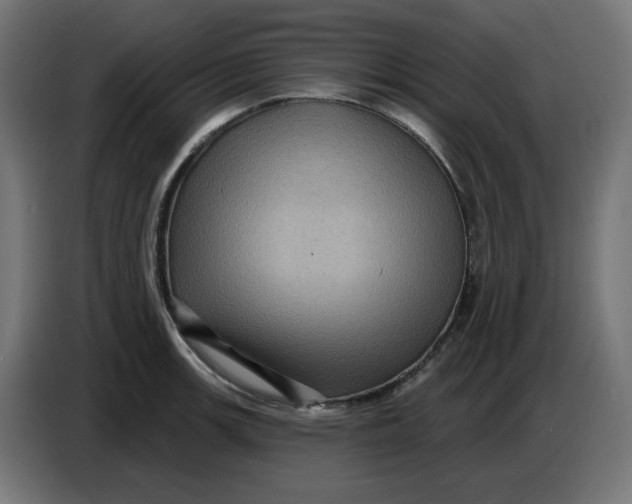 X0000086731139200705041342