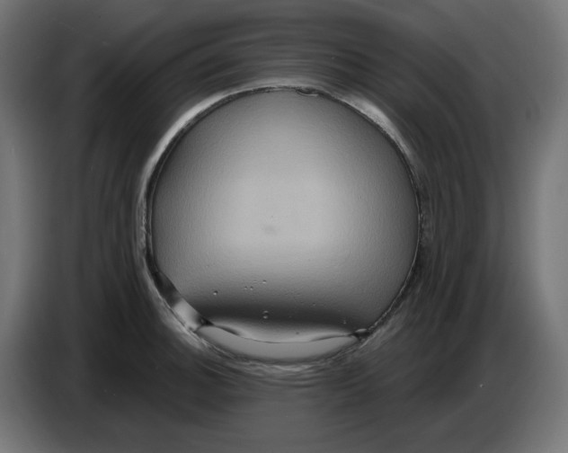 X0000086731140200705041342