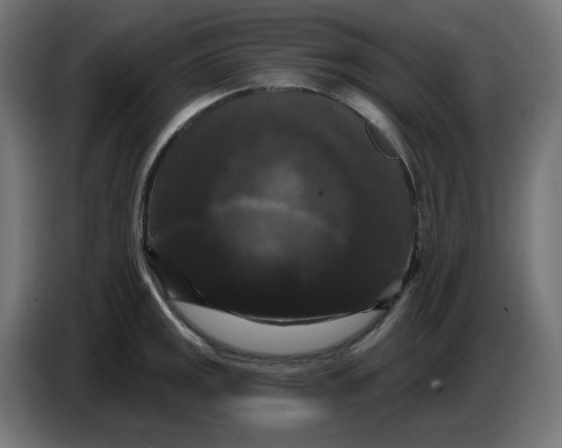 X0000086731141200705041342