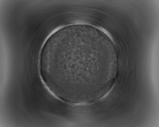 X0000086731142200705041342