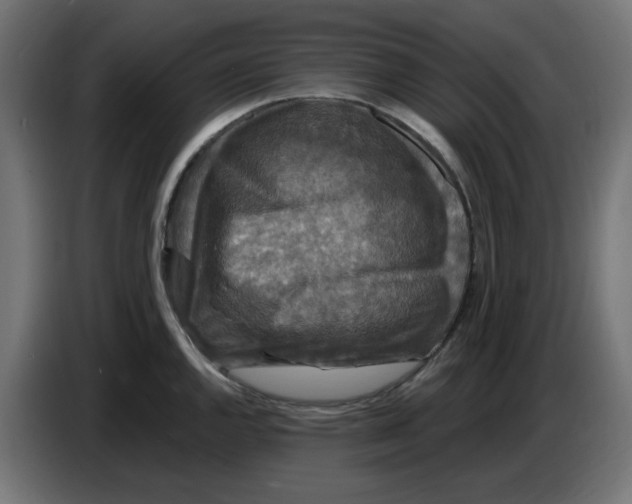 X0000086731144200705041342