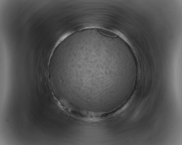 X0000086731145200705041342