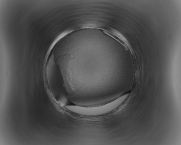 X0000086731146200705041342