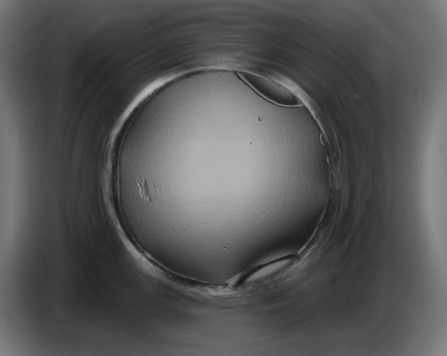 X0000086731147200705041342