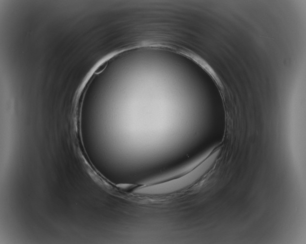 X0000086731148200705041342