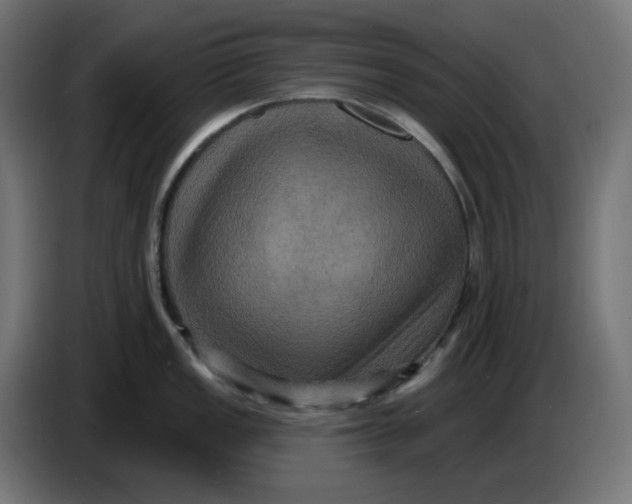 X0000086731149200705041342