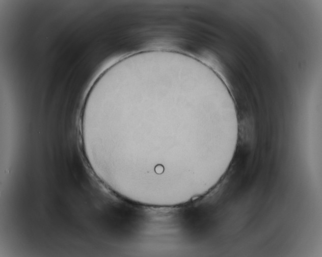 X0000086731150200705041342