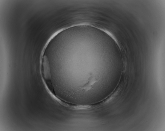 X0000086731151200705041342