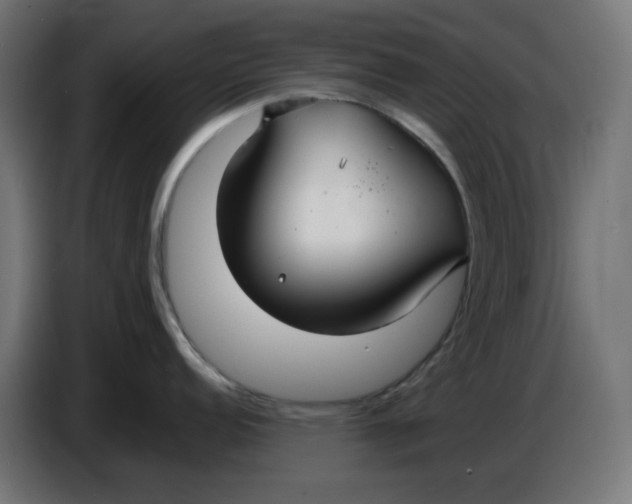 X0000086731152200705041342