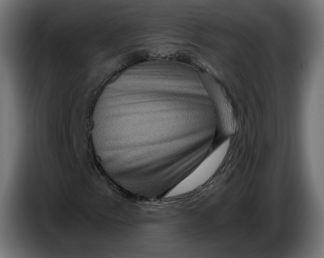 X0000086731153200705041342