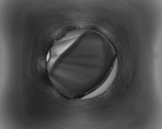 X0000086731155200705041342