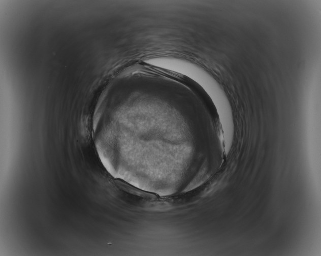 X0000086731156200705041342