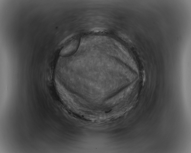 X0000086731158200705041342