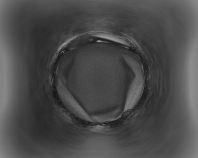 X0000086731160200705041342