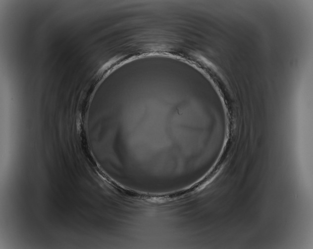 X0000086731161200705041342