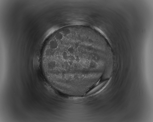 X0000086731163200705041342