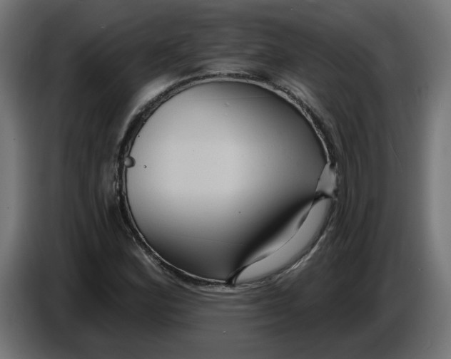 X0000086731164200705041342