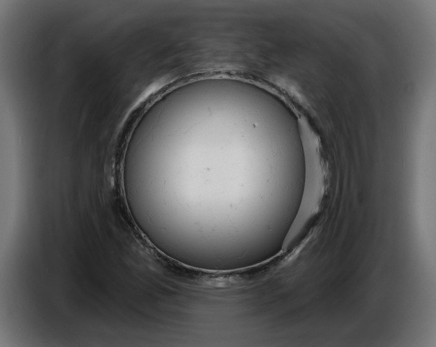 X0000086731165200705041342