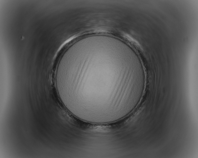 X0000086731166200705041342