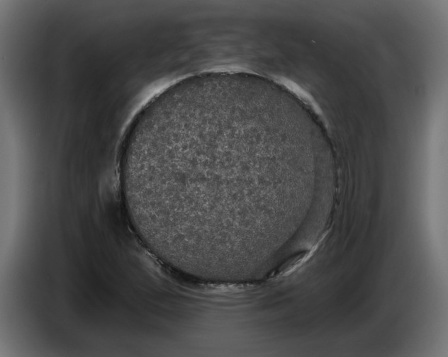 X0000086731167200705041342