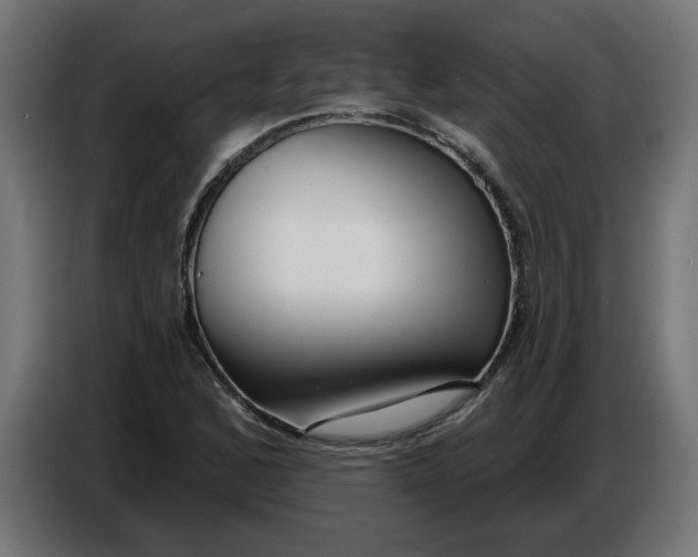 X0000086731168200705041342