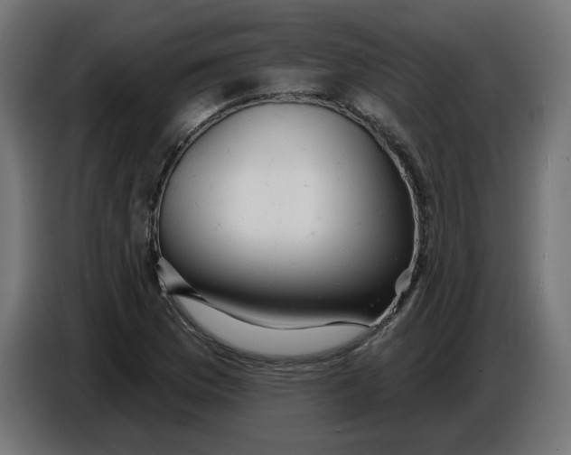 X0000086731169200705041342