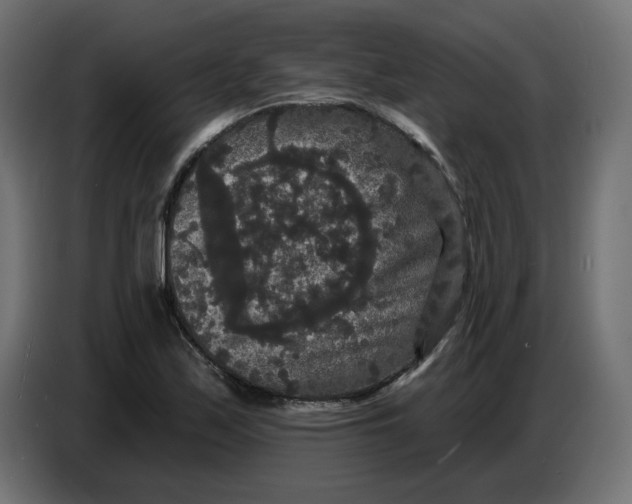 X0000086731171200705041341