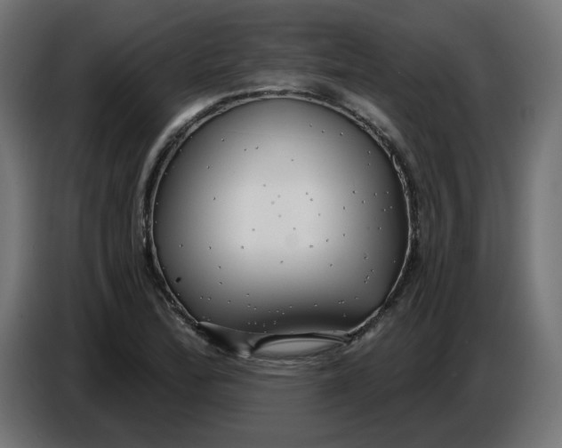 X0000086731172200705041341