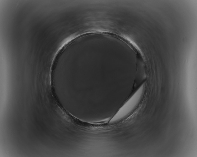 X0000086731173200705041341