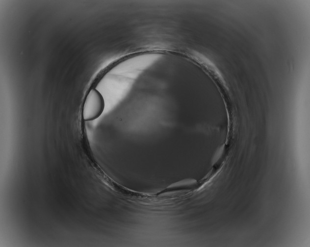 X0000086731174200705041341