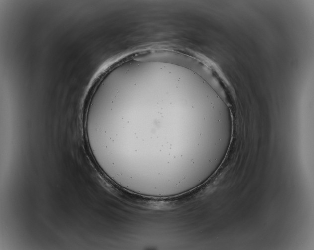 X0000086731176200705041341