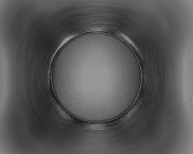 X0000086731178200705041341