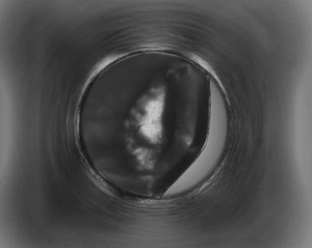 X0000086731179200705041341