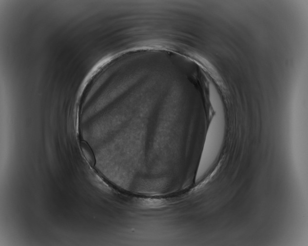 X0000086731180200705041341