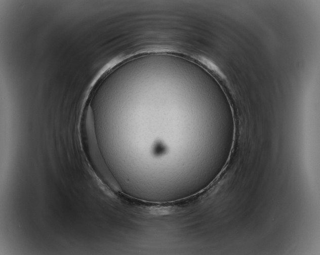 X0000086731181200705041341