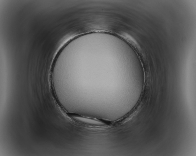 X0000086731182200705041341