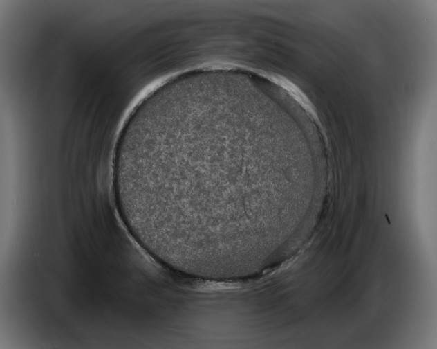 X0000086731183200705041341