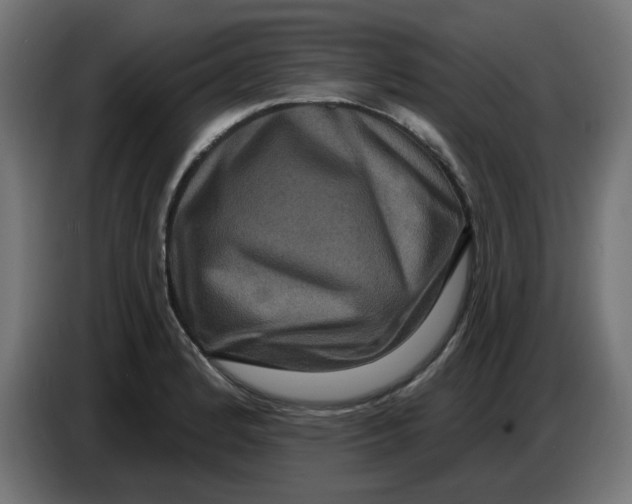 X0000086731184200705041341