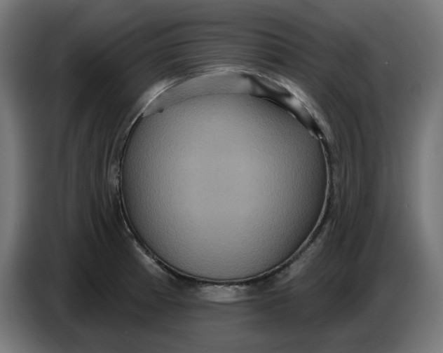 X0000086731185200705041341