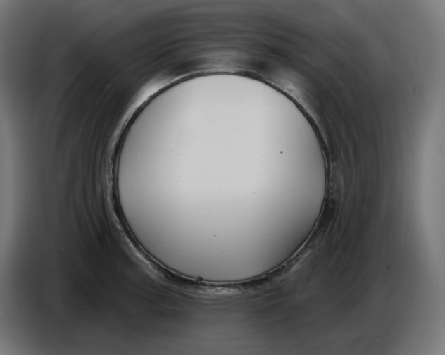 X0000086731187200705041341