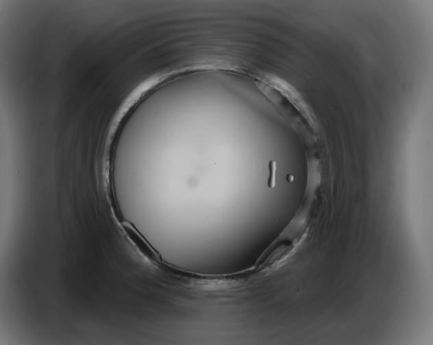 X0000086731188200705041341