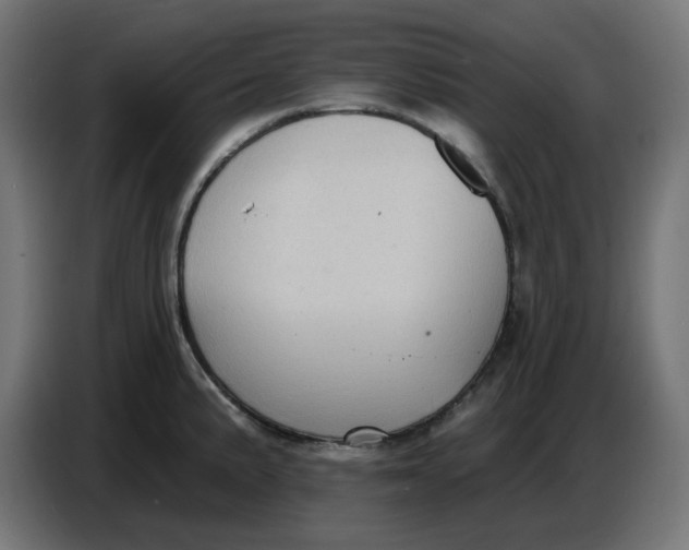 X0000086731191200705041341