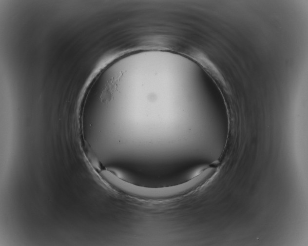 X0000086731192200705041341