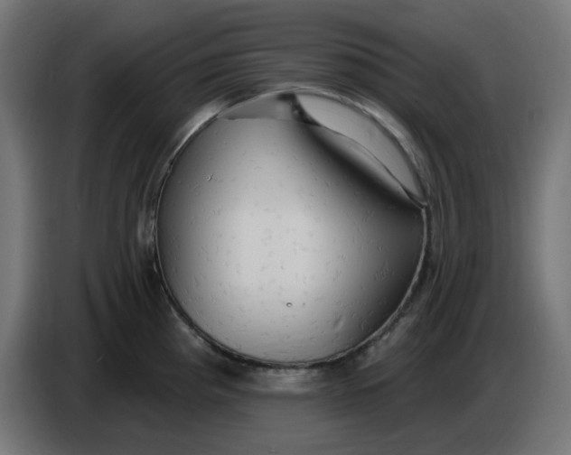 X0000086731193200705041341