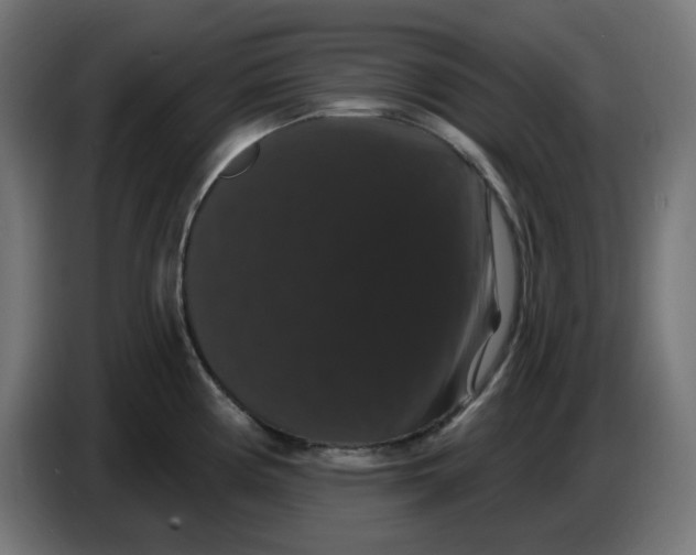 X0000086731194200705041341