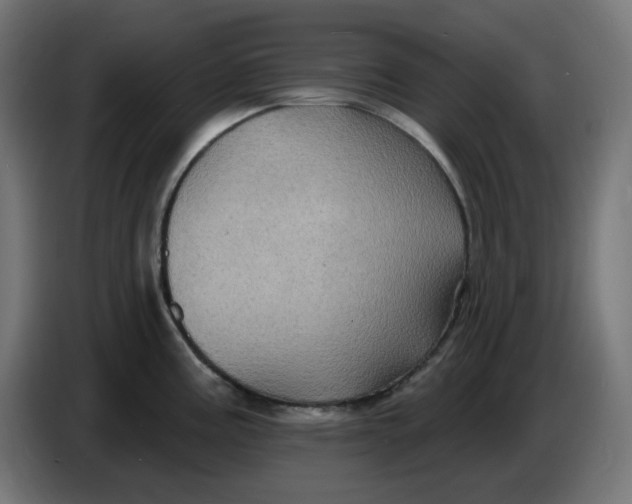 X0000086731195200705041341