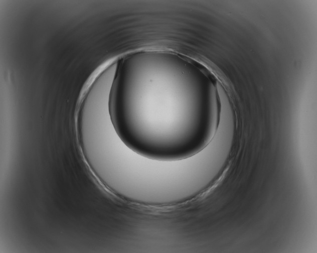 X0000086731196200705041341