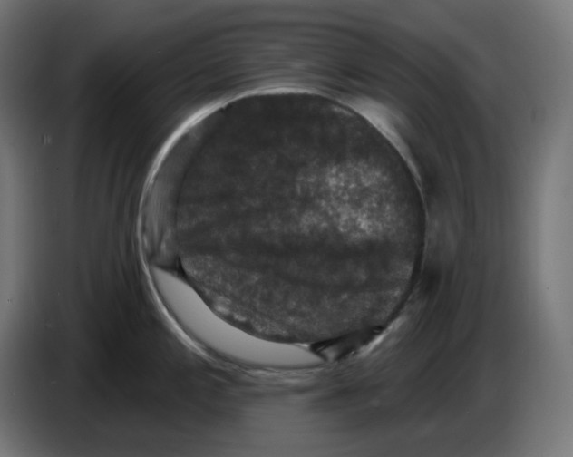 X0000086731197200705041341